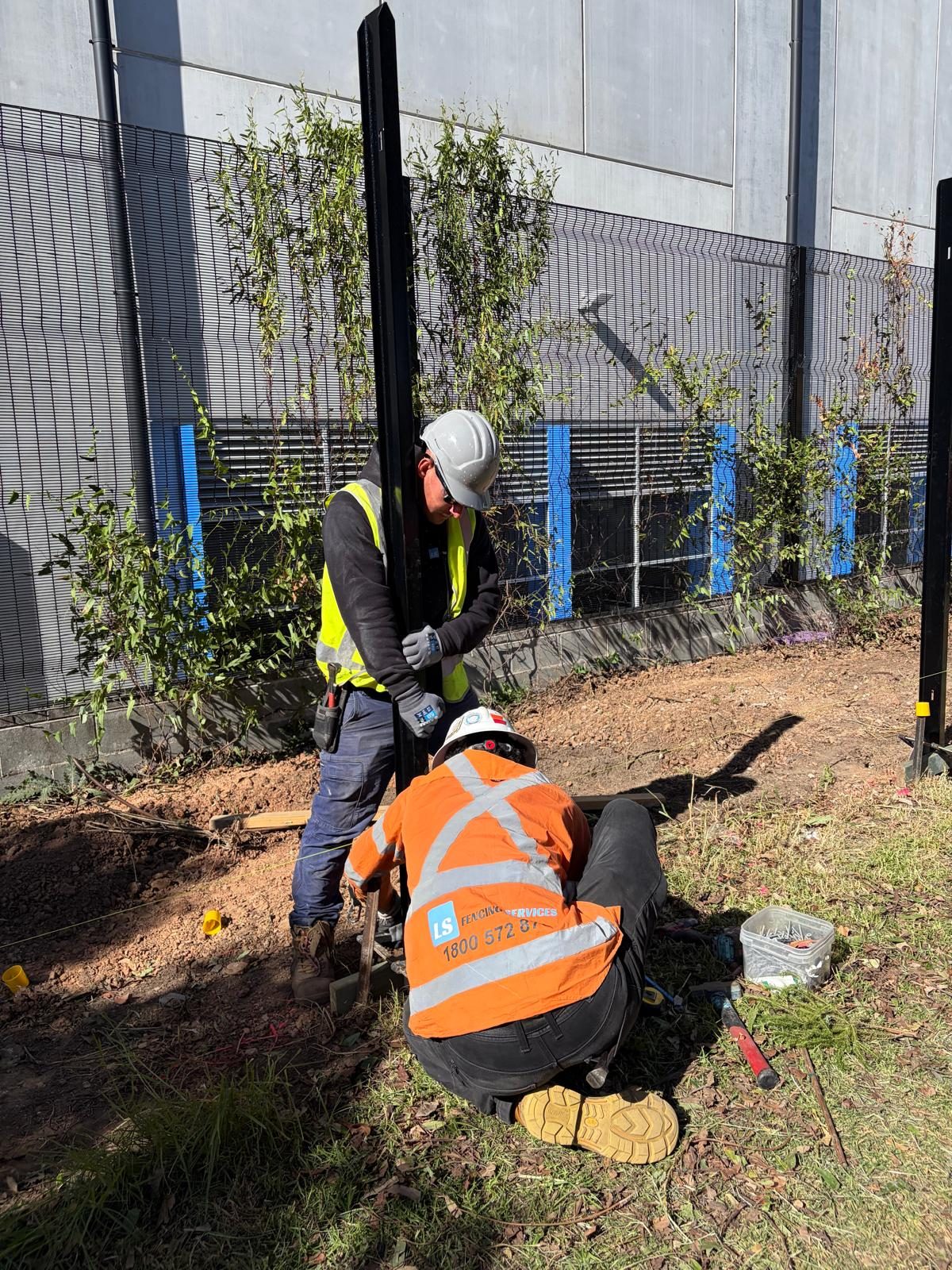 LS Fencing: ls fencing crew on site